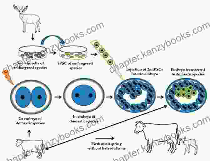 Image Of Assisted Reproductive Technologies Being Used In Animal Conservation. Reproductive Sciences In Animal Conservation (Advances In Experimental Medicine And Biology 1200)