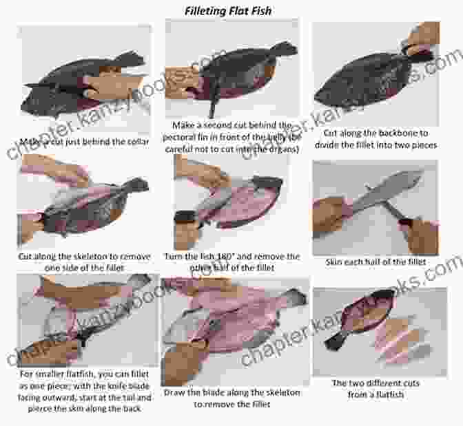 Step By Step Images Showcasing Various Fish Preparation Methods Fish: The Complete Fish And Seafood Companion