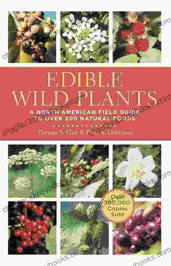 Vibrant Cover Of 'Edible Wild Plants Of North America' Featuring Diverse Plant Illustrations On A Neutral Background Foraging For Survival: Edible Wild Plants Of North America