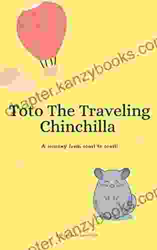 Toto The Traveling Chinchilla : A Journey From Coast To Coast