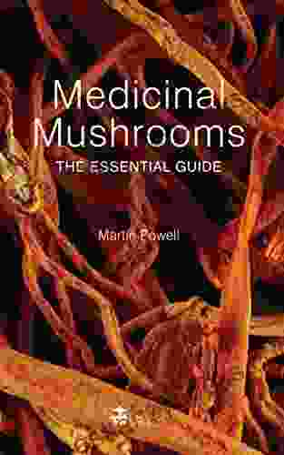 Medicinal Mushrooms: The Essential Guide