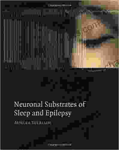 Neuronal Substrates Of Sleep And Epilepsy