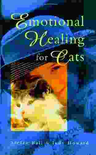 Emotional Healing For Cats Stefan Ball