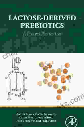 Lactose Derived Prebiotics: A Process Perspective